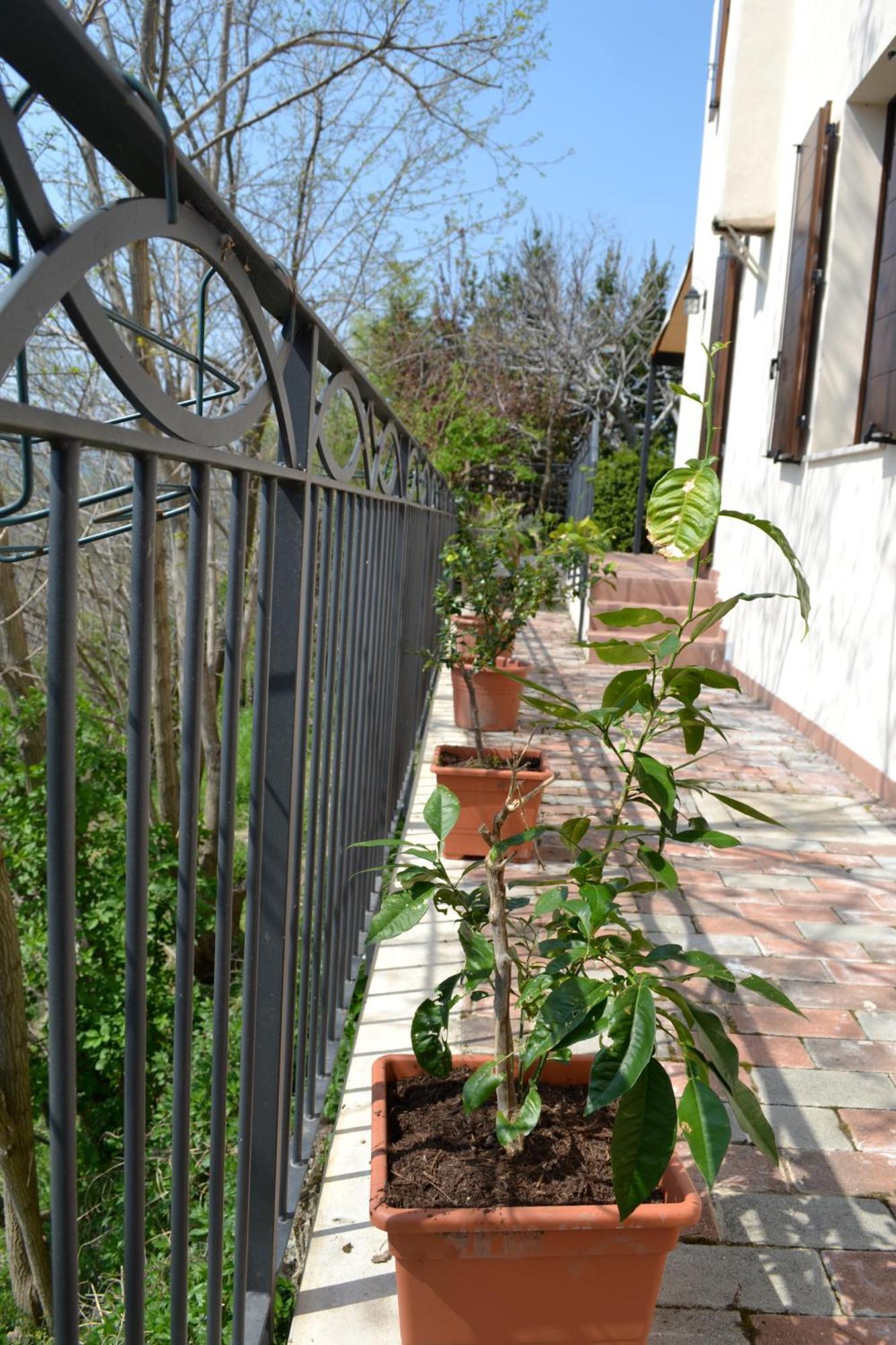 B&B Ca Biocco Sogliano al Rubicone Exterior photo