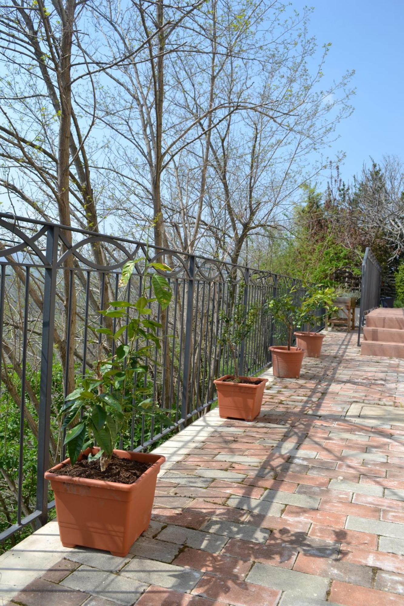 B&B Ca Biocco Sogliano al Rubicone Exterior photo